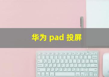 华为 pad 投屏